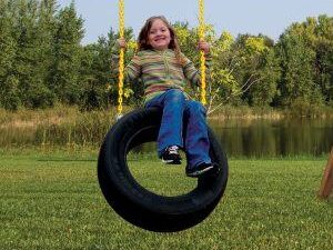 2 Chain Tire Swing