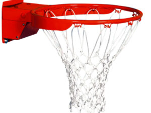 Goalsetters Collegiate Double Spring Rim
